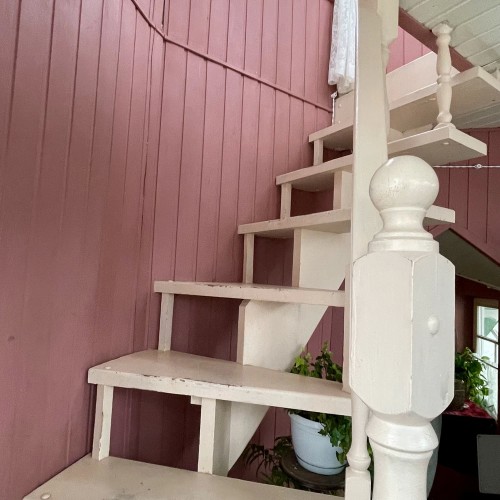 Приморский Парадиз — Сестрорецк, Репино, Комарово и Зеленогорск. Индивидуальная экскурсия