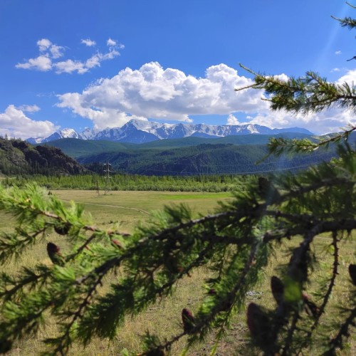 Влюбиться в Алтай: насыщенное путешествие в мини-группе