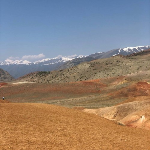 По цветущему Алтаю с выездом из Новосибирска и Горно-Алтайска: топовые места