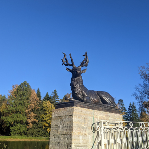Истории любви на аллеях Павловского парка.