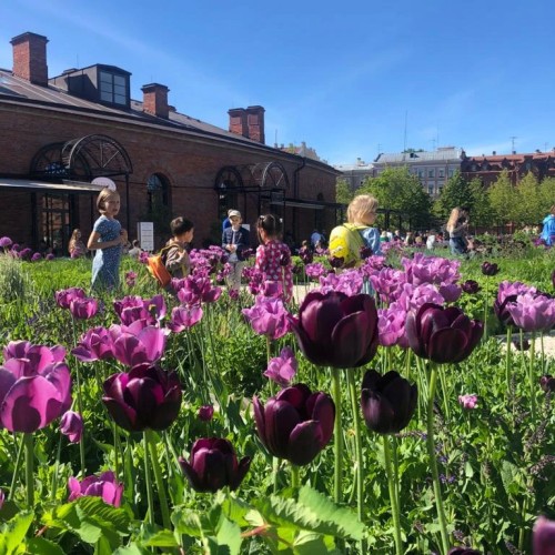 Детская интерактивная экскурсия по Новой Голландии