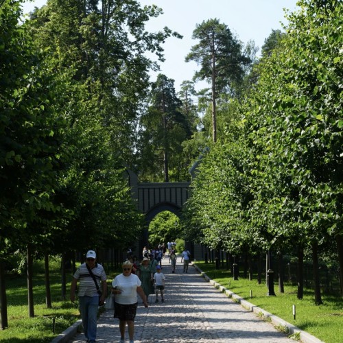 Романтика парка Монрепо