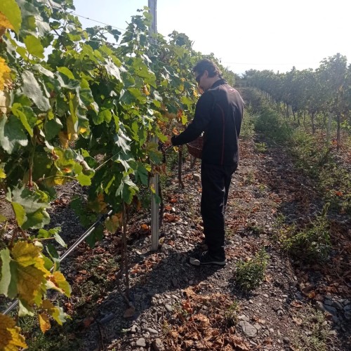 Кавказское ассорти со вкусом вина: путешествие по Грузии и 6 живописным ущельям Осетии