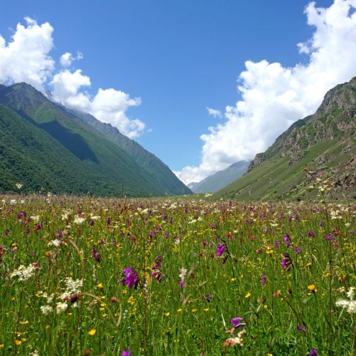 Треккинг налегке в Безенги с размещением в альплагере