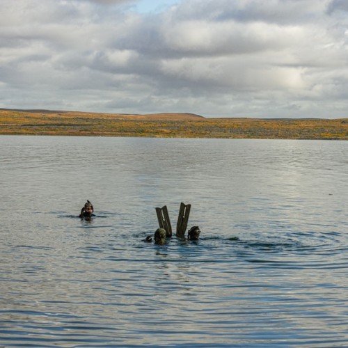 Заповедная территория: к океану на гигантской машине с проживанием в кемпинге