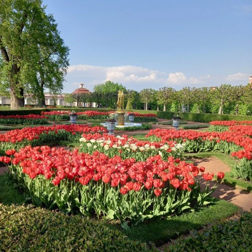 От Ораниенбаума до Петергофа: невозможное возможно