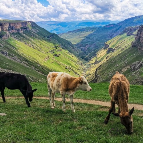 Всё самое-самое в Дагестане: от глубочайшего каньона до древнейшего города