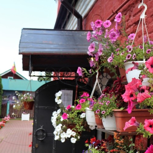 Тур-перезагрузка: трип из Владимира в Суздаль на 2 дня