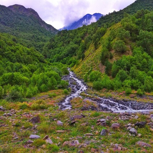 Зов гор: индивидуальное путешествие по Дагестану с подъёмом на Богосский хребет
