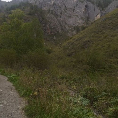 Главное на Алтае: автопутешествие в мини-группе