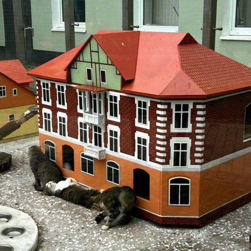 Ваше персональное путешествие во времени: Калининград, курорты, замки