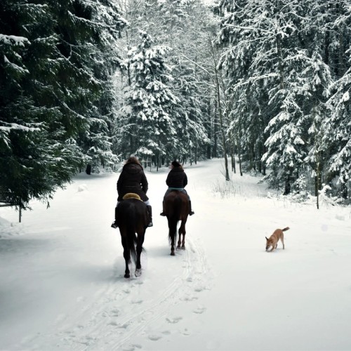Конная экскурсия по Шуваловскому парку