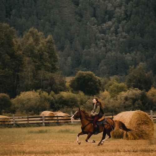 Бороздим просторы Алтая верхом: активный тур для опытных всадников с фотосъёмкой