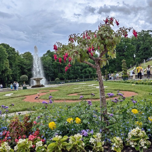 В Петергоф — на метеоре! Экскурсия с индивидуальным гидом