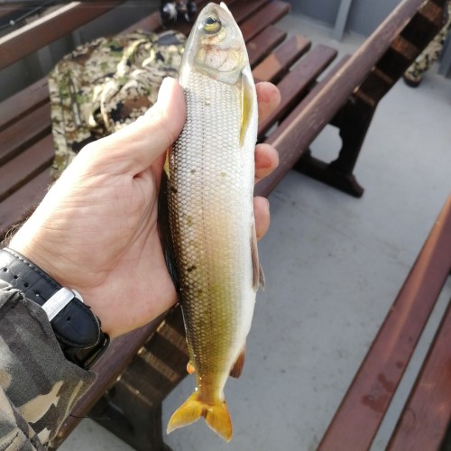 За трофеями на Байкал с местными: рыбалка с катера, катамарана и на реках