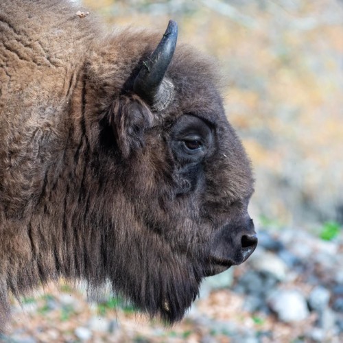 По Домбаю в мини-группе: горы, озеро Кара-Кёль и Тебердинский заповедник