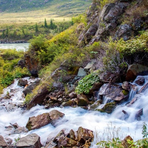 Дикий Алтай: Ороктойский мост, петроглифы и водопад Бельтертуюк