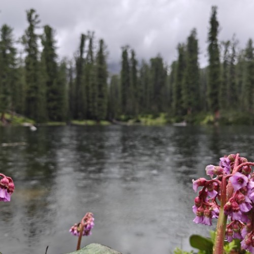 Таёжные водопады парка «Ергаки»: треккинг налегке с ночёвками в палатках