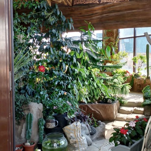 Перезагрузка на Алтае: в гостях у шамана Артёма Игнатенко в Полеводке