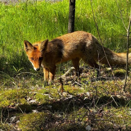 7 городов Калининградской области и природа Балтики: автобусный тур с опциональными экскурсиями