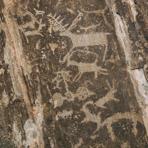 Алтайские выходные: от Чуйского тракта до Марса и Гейзерного озера