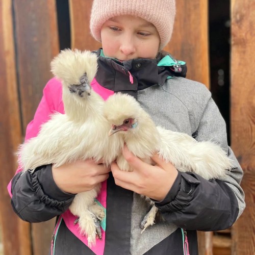 Агроэкскурсия на ферму и мастер-класс с перьями павлина