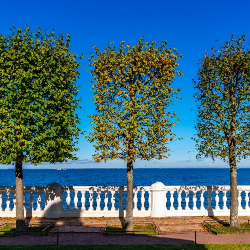 С корабля на бал: в Петергоф на метеоре с индивидуальным гидом