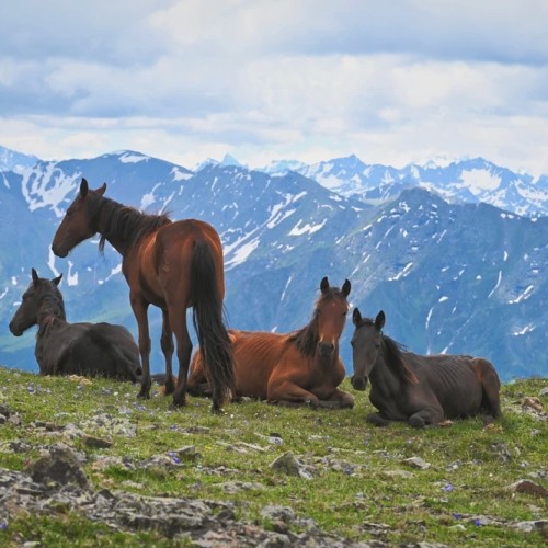Дыхание гор: мини-группой от курортов Кавминвод к вершинам Карачаево-Черкесии