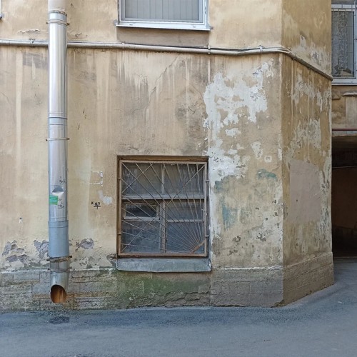 По Васильевскому с островитянином!