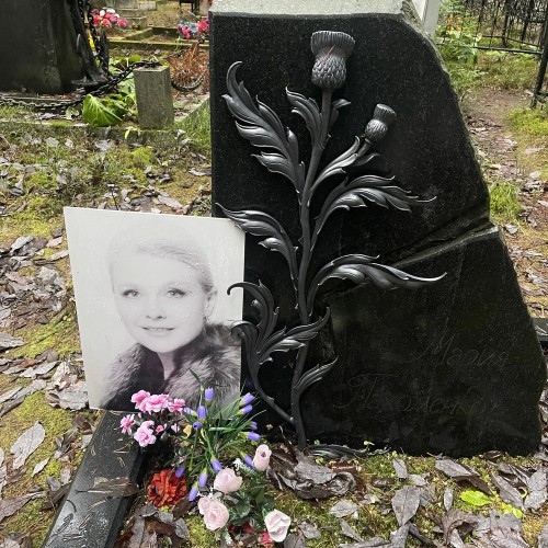 Из Петербурга в Комарово: обитель муз и гениев (в уютной мини группе)