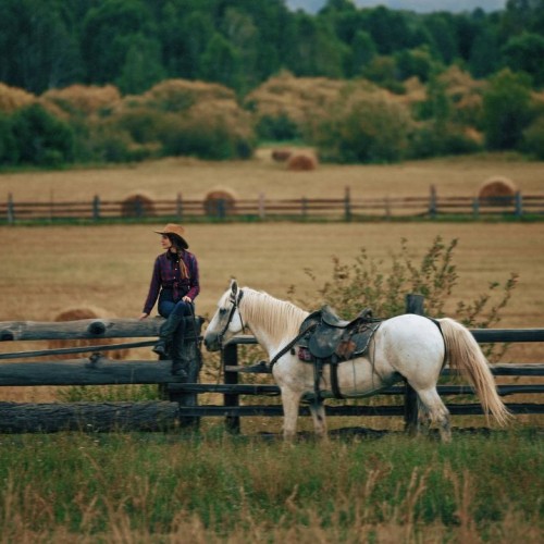 Бороздим просторы Алтая верхом: активный тур для опытных всадников с фотосъёмкой