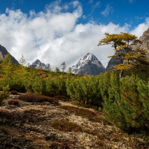 Дюны среди тайги: поход к Чарским пескам с ночёвками в палатках на природе