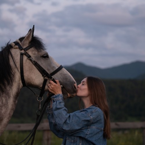 Бороздим просторы Алтая верхом: активный тур для опытных всадников с фотосъёмкой