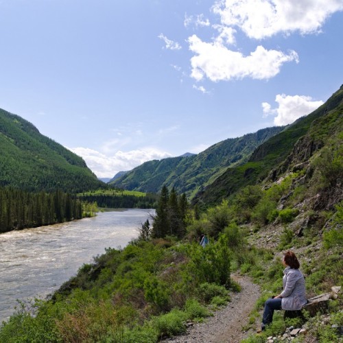 Майские на Алтае в сезон цветения маральника с ежедневными прогулками (всё включено)