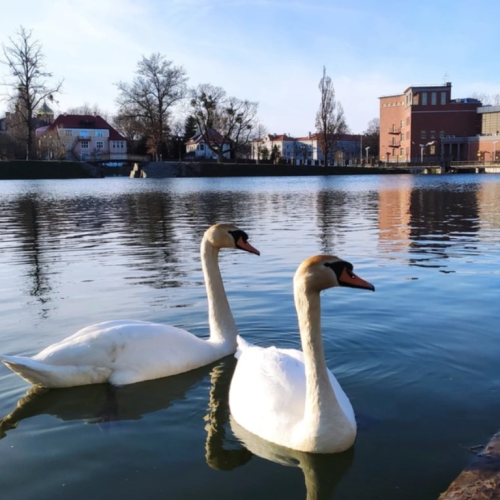 Индивидуальная прогулка выходного дня: Калининград, Зеленоградск, Куршская коса