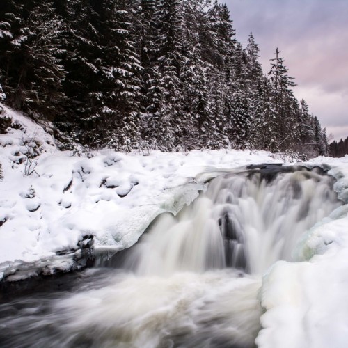 В Карелию на выходные всей семьёй: Петрозаводск, окрестности и знакомство с традициями