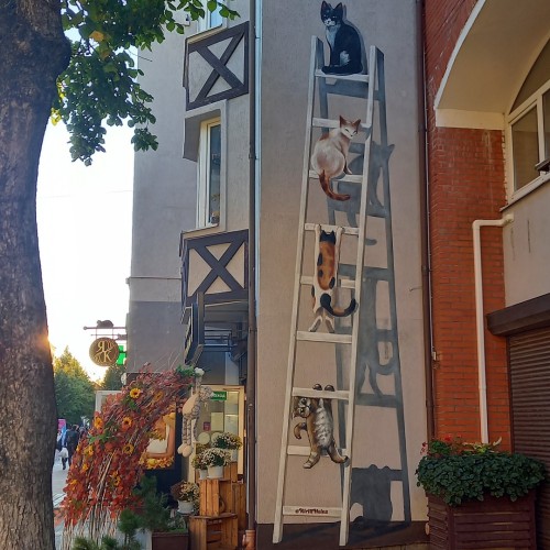 Девичник на балтийском побережье с отдыхом в спа и дегустацией в «Шаакен Дорф»