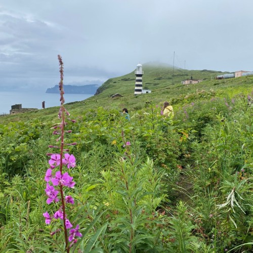 Камчатка в мини-группе: перевалы, бухты, сопки и купание в природных источниках