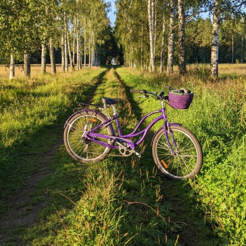 Неповторимое очарование Павловского парка: экскурсия на велосипеде