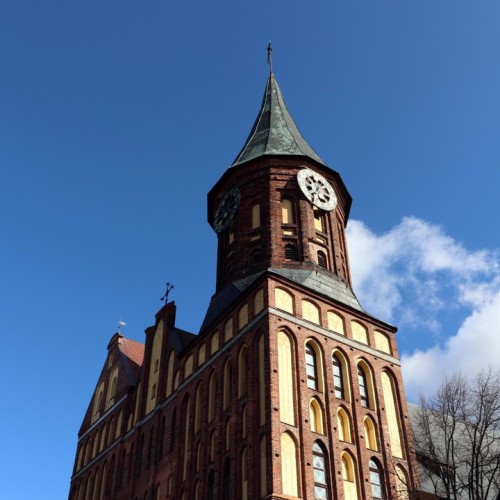 Кёнигсбергская перезагрузка: Калининград, Янтарный и Балтийск с проживанием в экоотеле на побережье