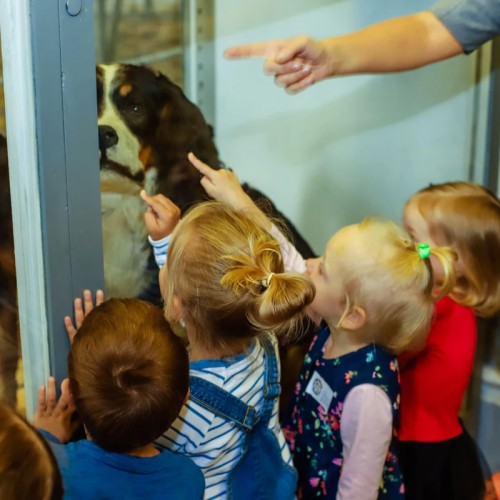 Зоологический музей для детей и взрослых