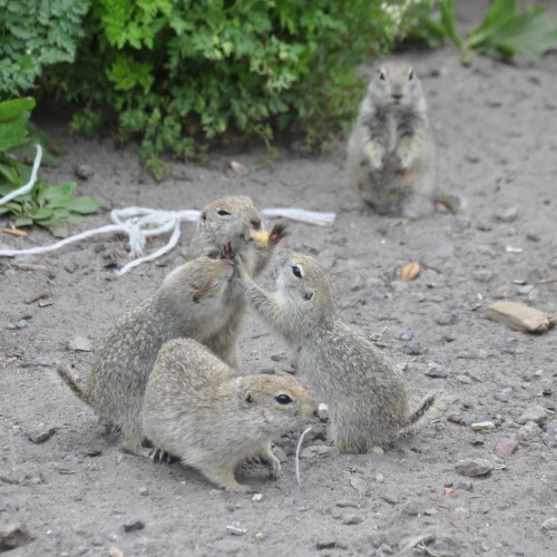 Наедине с Кавказом: вкусная перезагрузка в горах