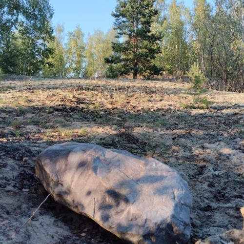 В Рязань своей компанией: Касимов, старинные сёла, городища, храмы, прогулки и природные чудеса