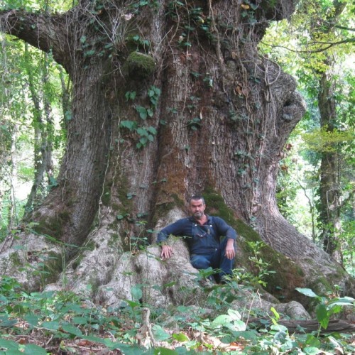 В гости к друиду: выходные в горной долине Шахе (мини-группа)