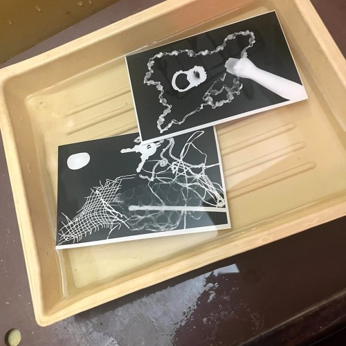 Фотография без камеры: мастер-класс по созданию фотограммы в Петербурге