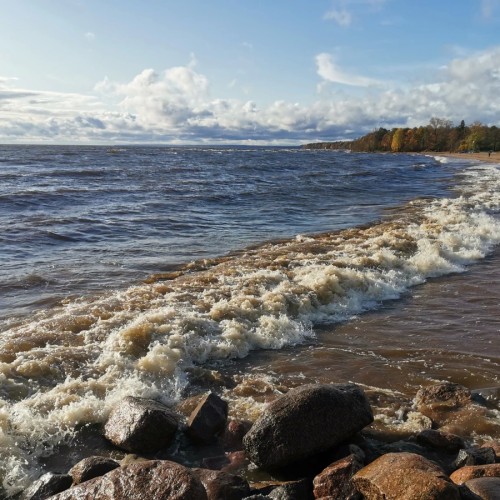 Вдоль курортного берега: Лисий Нос, Разлив, Сестрорецк, Репино, Комарово