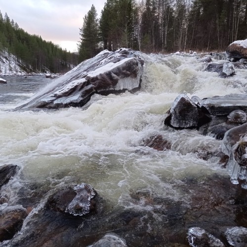 Путешествие-перезагрузка у Белого моря только для вас: природа Кандалакши и древний лабиринт