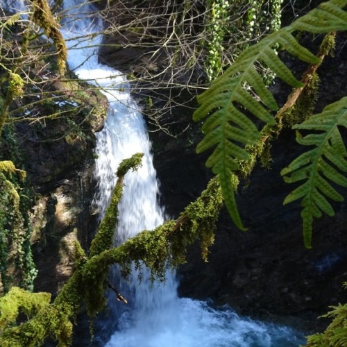 Перезагрузка в горах и на море в мини-группе
