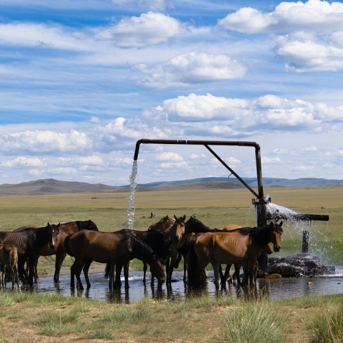 Наедине с Алтаем: высокогорные озёра, живописные долины и неземной ландшафт (всё включено)