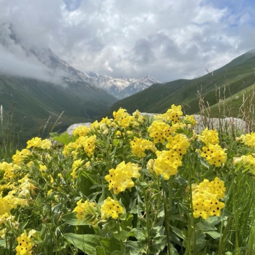 Налегке по Северной Осетии: прогулки по горам Дигории